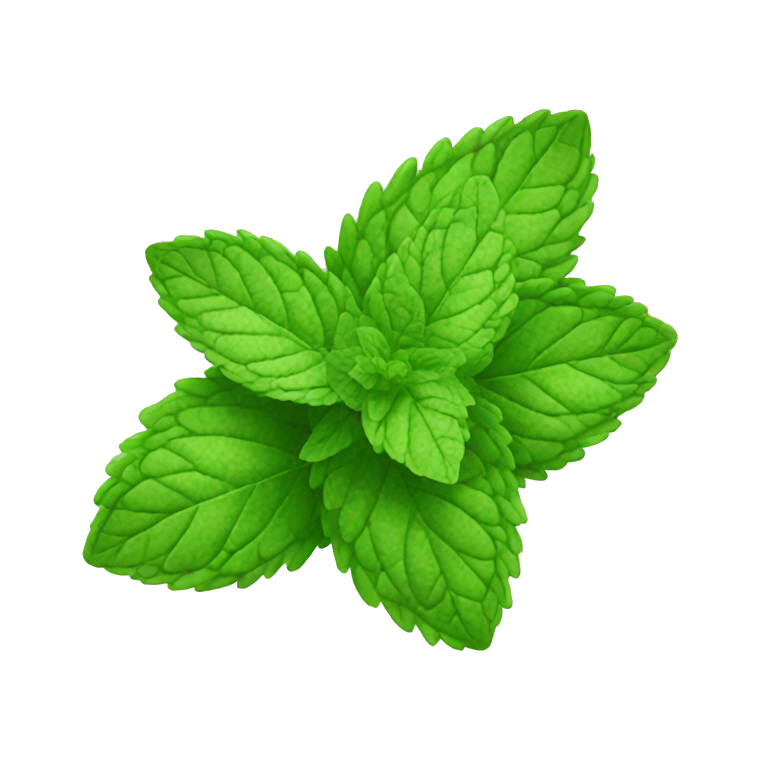 Mint icon
