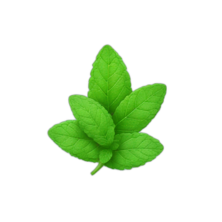 Mint icon